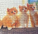 1000 Parça Ahşap Puzzle
